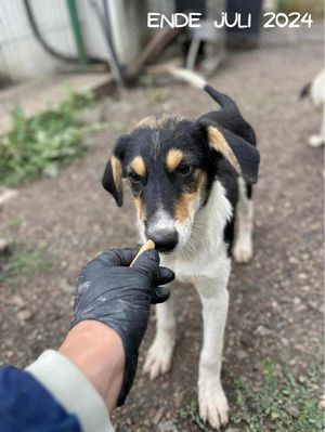 Hübsche Mia wartet aufs happyend! Bild 2