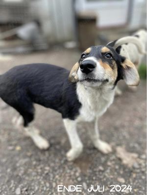 Hübsche Mia wartet aufs happyend! Bild 4