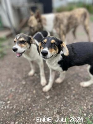 Hübsche Mia wartet aufs happyend! Bild 3