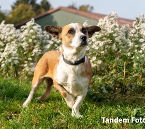 Trude - einmal im Leben glücklich sein