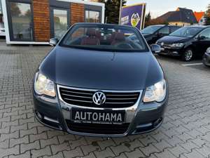 Volkswagen Eos 2.0 TSI 150 PS *UNIKAT*60TKM*LEDER*XEN* Bild 3