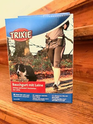 Mit dem Hund an der Leine joggen