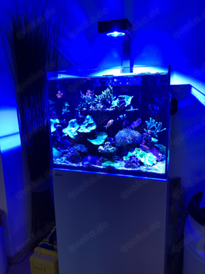 Red Sea Reefer 170 Meerwasseraquarium mit ReefLED 90, fast wie neu!!