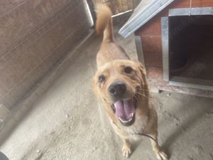 Tinchen   kleines Fräulein mit großem Herz sucht ihr Für-immer-Zuhause