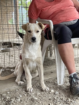 Vorhang auf für Quinn - ein kleiner Held mit großem Herzen!