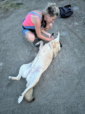 Lizzy - so gross wie ihr Herz Bild 5