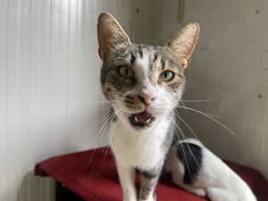 die Suche nach meinem Lieblingsmensch