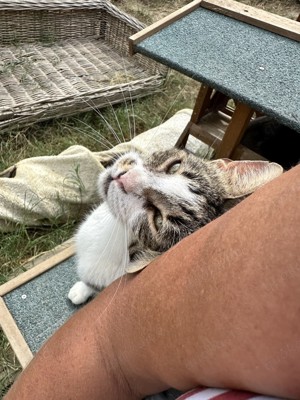die Suche nach meinem Lieblingsmensch Bild 7