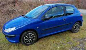 Peugeot 206 1.1 mit Autogasanlage