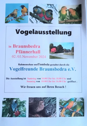 Vogelausstellung 