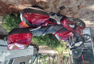 Honda ST1300 PanEuropean