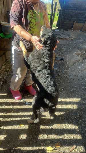 Violetta wünscht sich einen Platz zum Ausruhen Bild 5