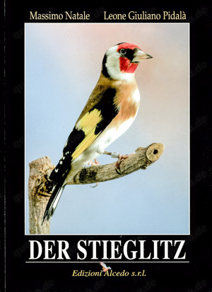 Der Stieglitz - Buch von Massimo Natale u. Leone Giuliano Pidala - Deutsch