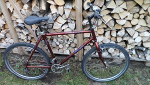 Herrenfahrrad TRECK 26"