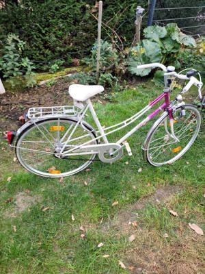 Damenfahrrad, Farbe Rosa 28" Räder
