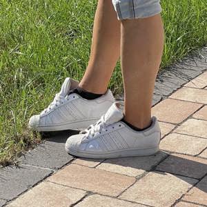 Girl in Adidas Superstars - Fotos & Videos nach Deinen Wünschen.... Bild 9