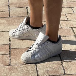 Girl in Adidas Superstars - Fotos & Videos nach Deinen Wünschen.... Bild 3