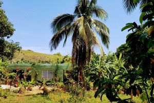 Haus mit Bananengarten in DomRep zu verkaufen