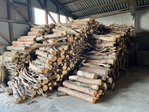 Brennholz, Kaminholz aus eigenem Wald, Forle Kiefer Buchenoberholz Äste