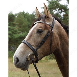  Trensenzaum "Starlight" Größe Full glitzernes Stirnband