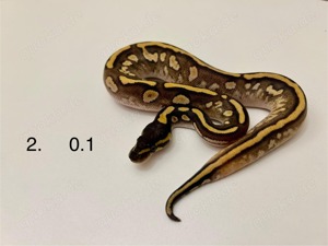 Hallo zusammen ! Bild 6