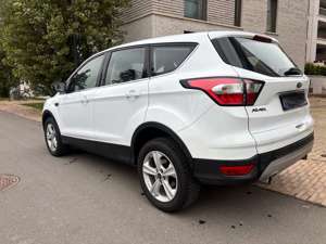 Ford Kuga Trend|SHZ|PDC|1.HAND|34000KM!!!| Bild 5