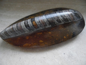 großes Fossil Kopffüßer