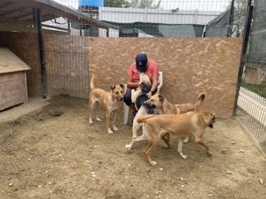 CANDY (geb. 2020) sucht ein ZUHAUSE Bild 7