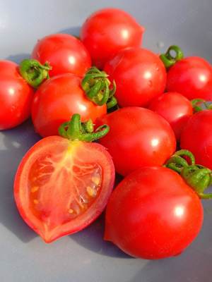 Geranium Kiss Tomatensamen - hübsche Busch- Balkontomate die nicht ausgegeizt werden muss