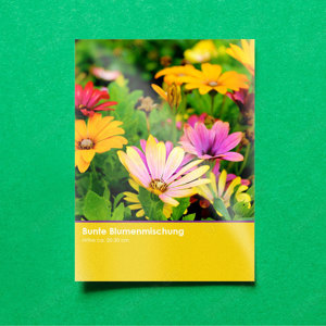 Blumensamen zu verschenken Bild 2