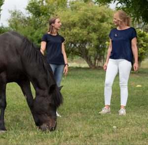 Weiterbildung Pferdegestütztes Coaching "Freie Begegnung"