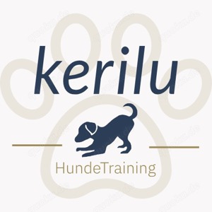 Hundetraining mobil - Einzeltraining   Verhaltensberatung Hund