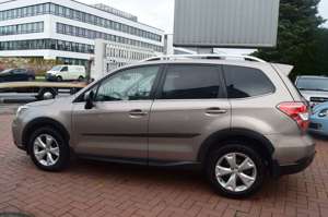 Subaru Forester OHNE FAHRZEUGPAPIERE,XENON,KAMERA,AHK. Bild 2