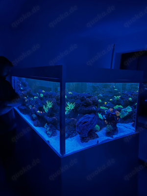 Meerwasser Aquarium 1400 Liter 200x100x70 cm