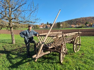 großer Leiterwagen, Antiquität, Liebhaberobjekt, 