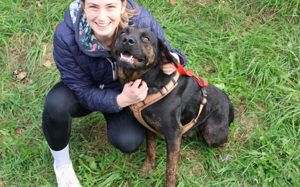 Der liebenswerte Vino sucht aktive Menschen Bild 3