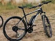 E Bike Fischer 29 Zoll em1724 (S1)