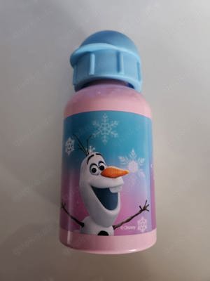 NEU Trinkflasche Disney ..Cars Frozen und Starwars 