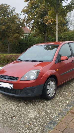 Ford Fiesta Fun