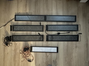 LED Lampen Aquarium mit Mondlicht