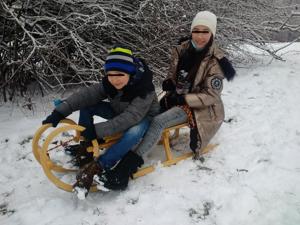 Schlitten   Rodel in der Größe 110 cm. 