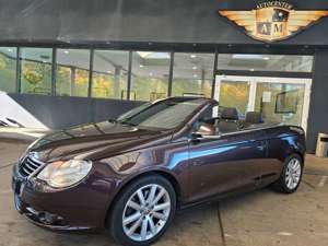 Volkswagen Eos 2.0 TDI DSG Le-Mans-Sport/PANORAMA/NAVI/PDC Bild 2