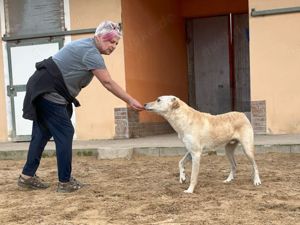 Ciop sucht sein Zuhause (noch auf Sardinien) Bild 5