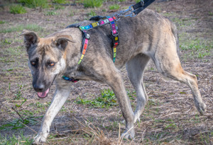 Jennifer, ein liebes Mädchen! Bild 5