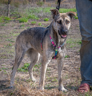 Jennifer, ein liebes Mädchen! Bild 2