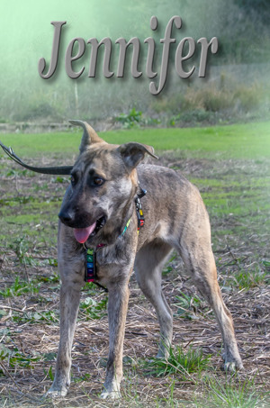 Jennifer, ein liebes Mädchen! Bild 7