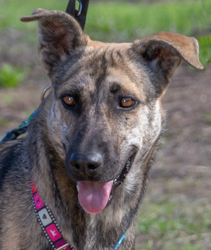 Jennifer, ein liebes Mädchen! Bild 6