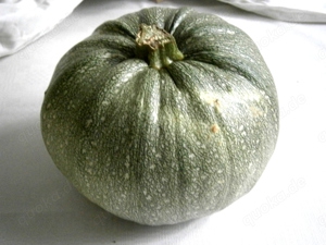 Gemüsesamen  Runde Zucchini  "Chiaro di Nizza"  5 Samen  