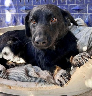 Nicoletta   kleine Schönheit sucht Liebe und Geborgenheit