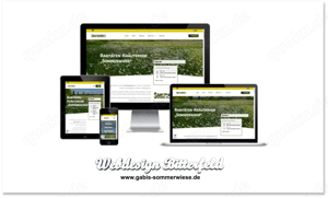 Wordpress Homepage | Wordpress Webdesign | WordPress Hilfe Bild 9